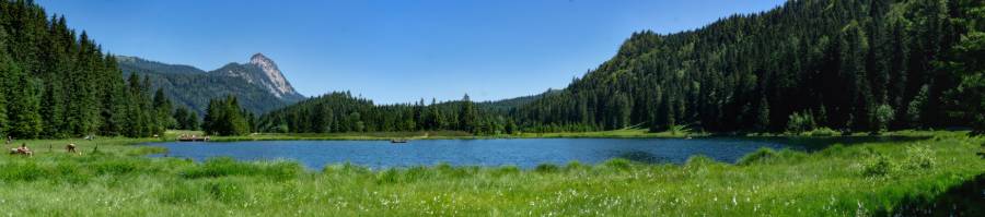 Peaceful Lake